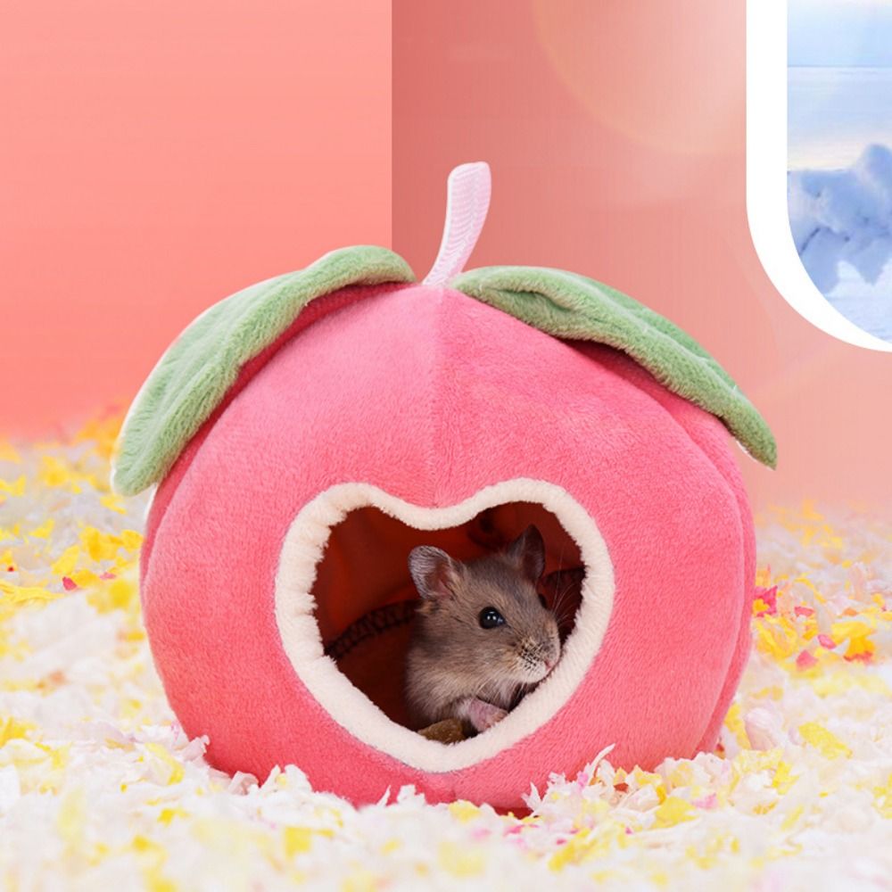 Cute Hamster Cotton House Soft - đánh giá và giá Tech Accessories Bag